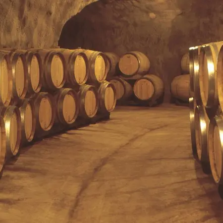 CAVES DU SIEUR D'ARQUES