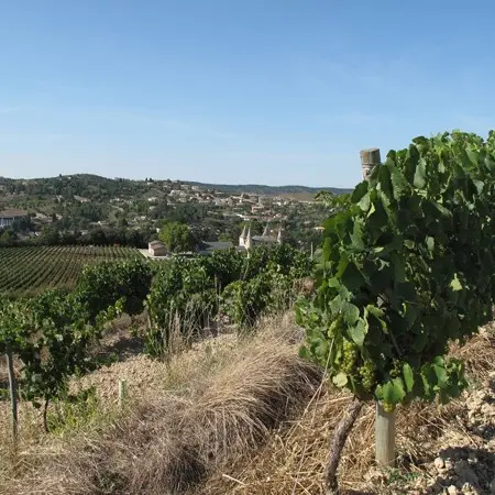 CAVES DU SIEUR D'ARQUES
