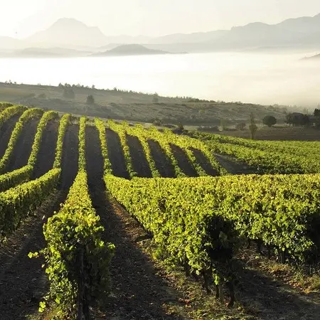 CAVES DU SIEUR D'ARQUES