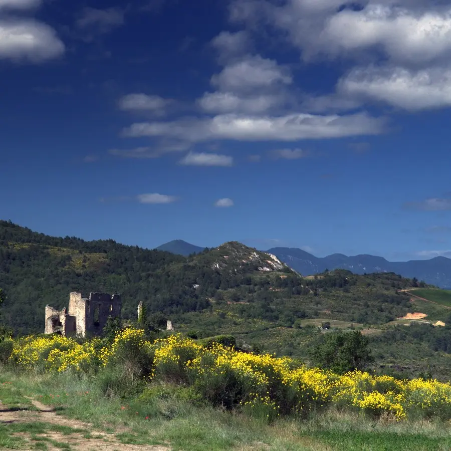 Château paysage_Coustaussa