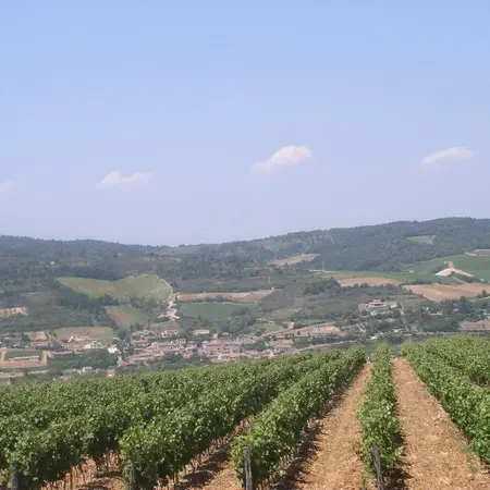DOMAINE DE FOURN
