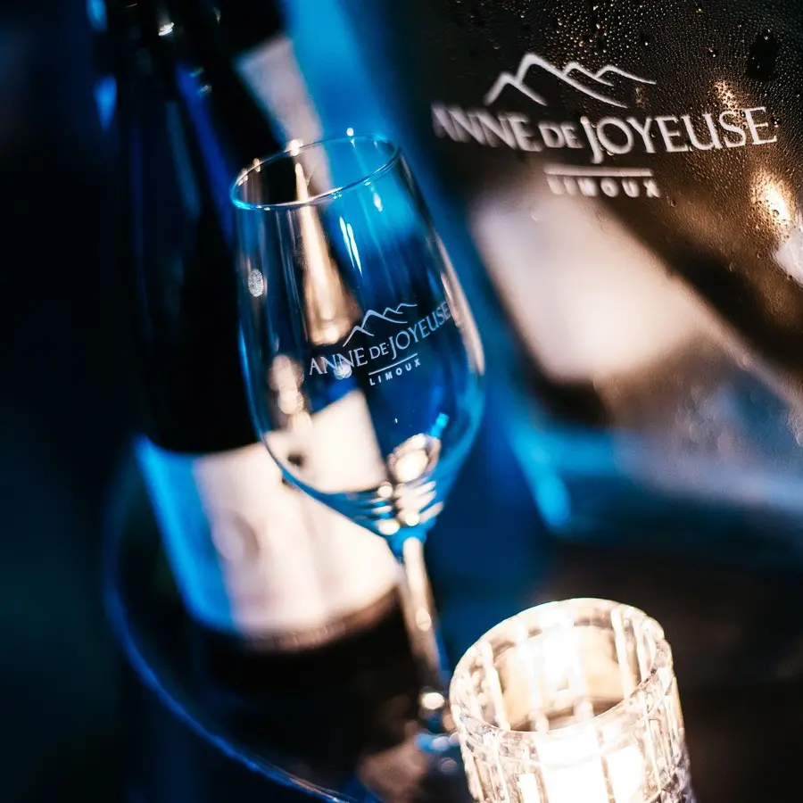ANNE DE JOYEUSE