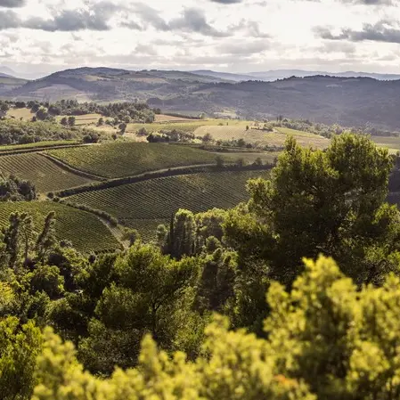 DOMAINE DE MARTINOLLES