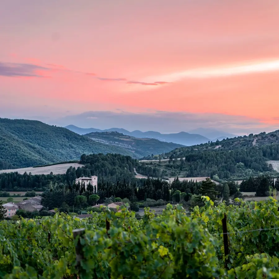 Domaine Therez Caruso