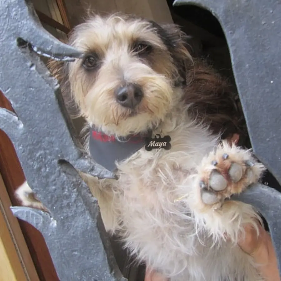 Escape game Alet-les-Bains