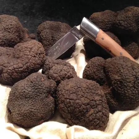 LARMURIER BARBAZA FRANÇOISE_2