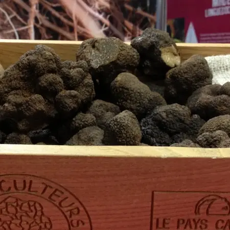 LARMURIER BARBAZA FRANÇOISE