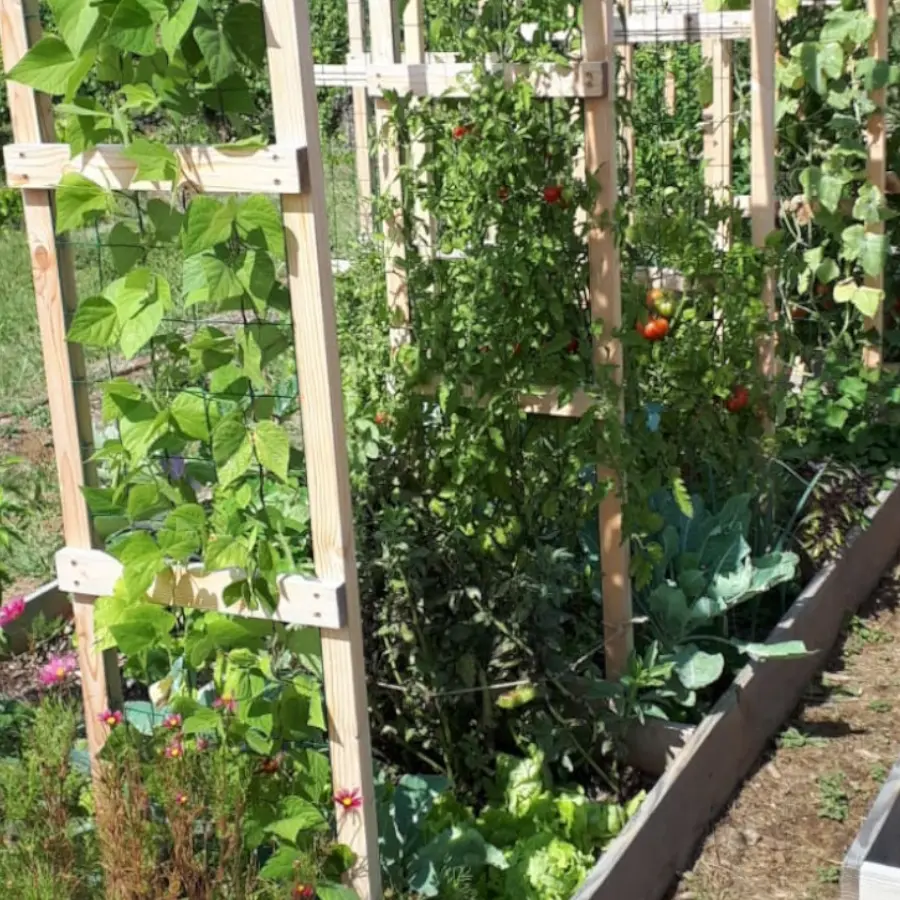 Oasis de permaculture 4