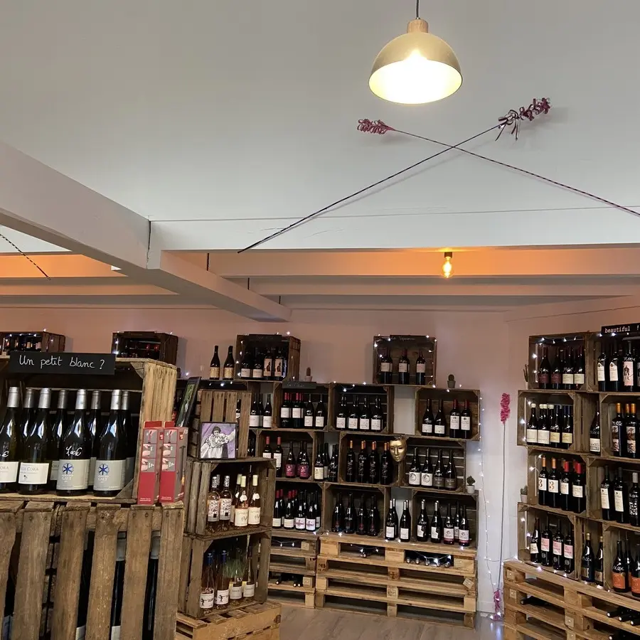 DE LA VIGNE AUX VINS