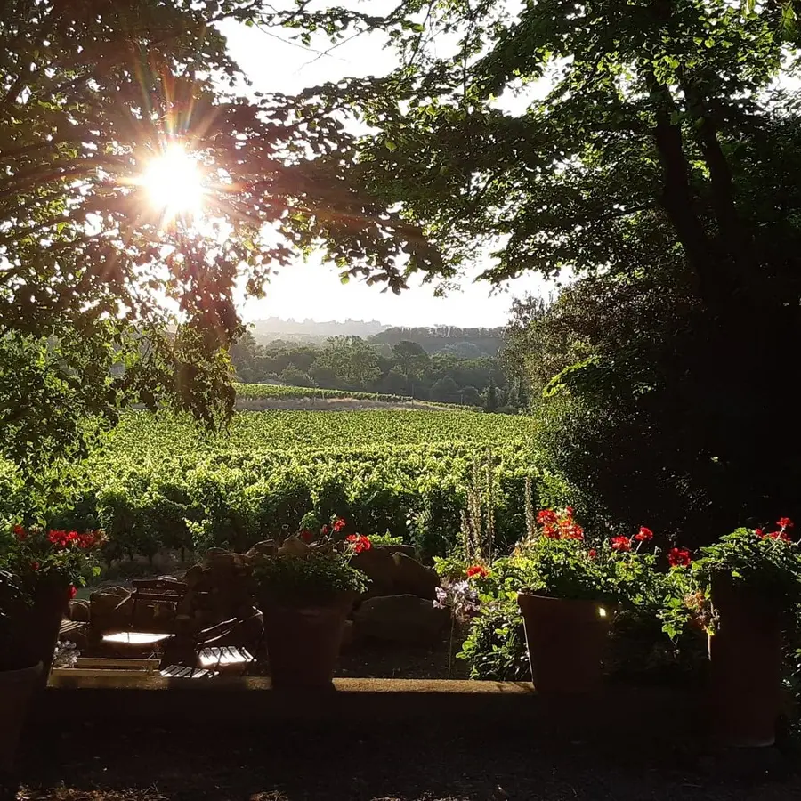 DOMAINE DE LA SAPINIERE