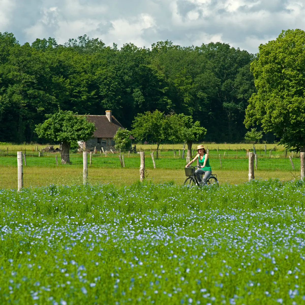 Randonnee-velo-Pays-d-Auge-2