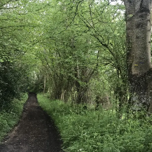 boucle-saint-aubin-Cernay1