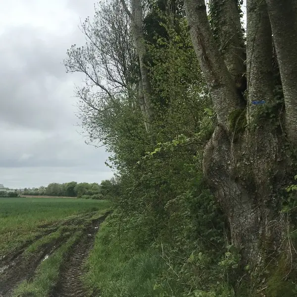 boucle-saint-aubin-Cernay3