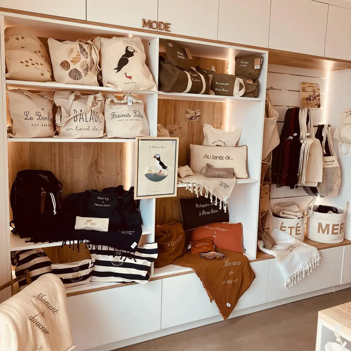 442677775_1167770694234049_7650219485963512985_n