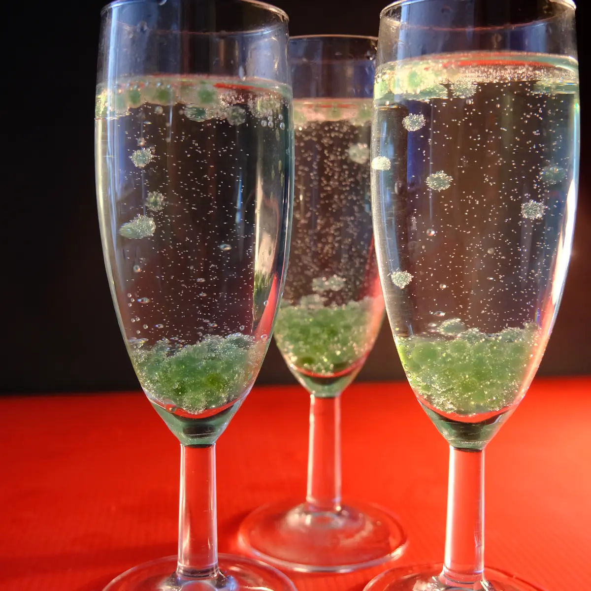 Des algues dans tous leurs états