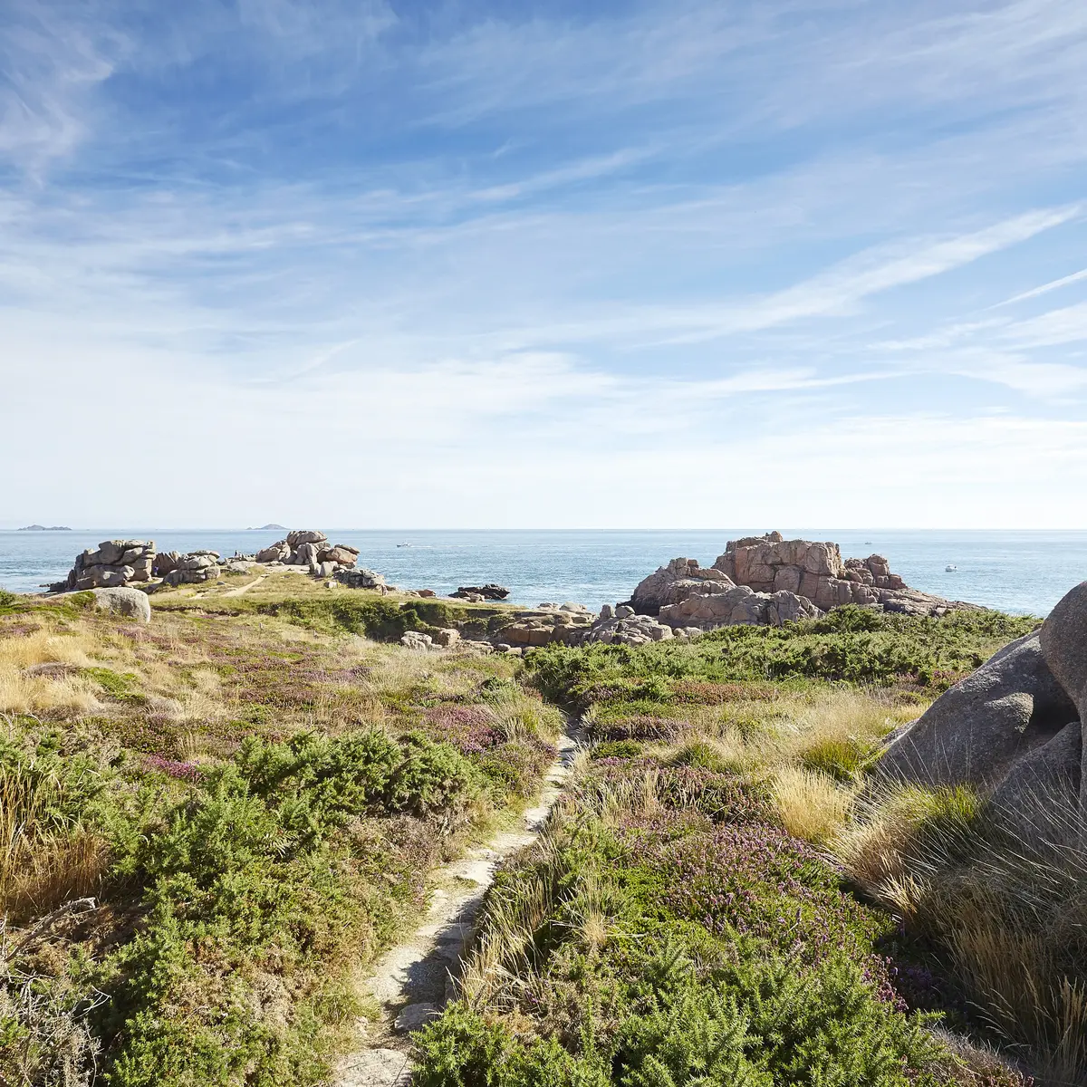 2015 - @Alexandre Lamoureux - Haute Déf (15)