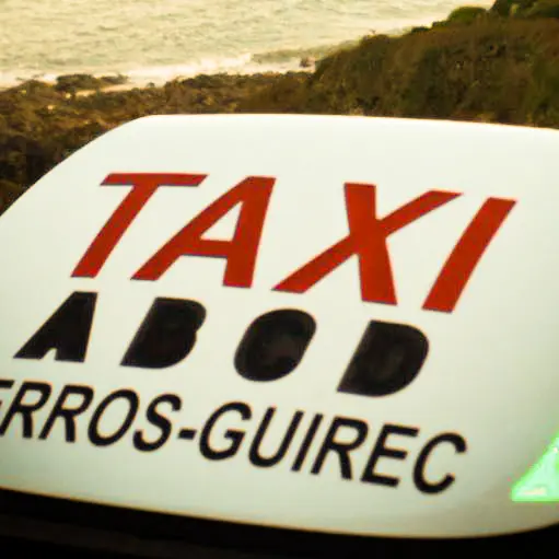 tarifs-taxi-perros