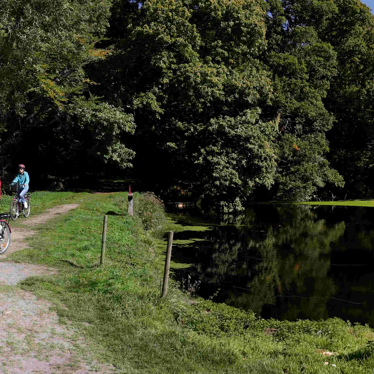 A vélo sur LTC campagne-château Tonquédec ©Alex Kozel (17)