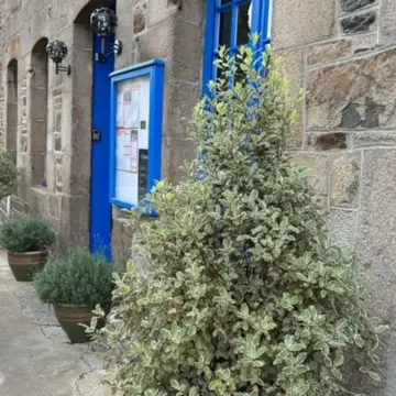 Crêperie des Halles 1