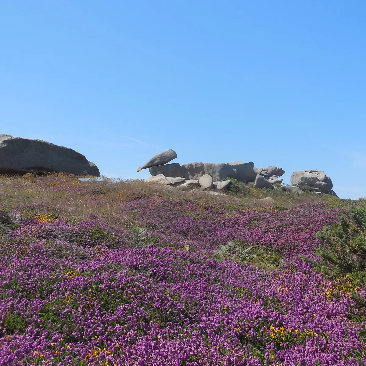 Landes Ploumanac'h
