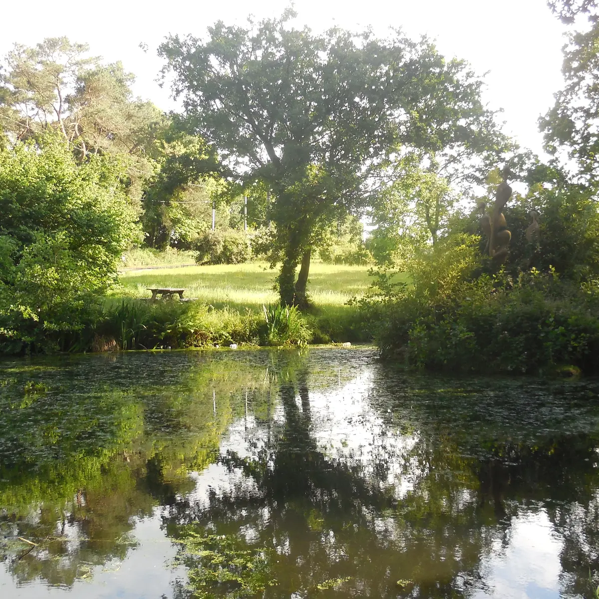 vallée des Arts