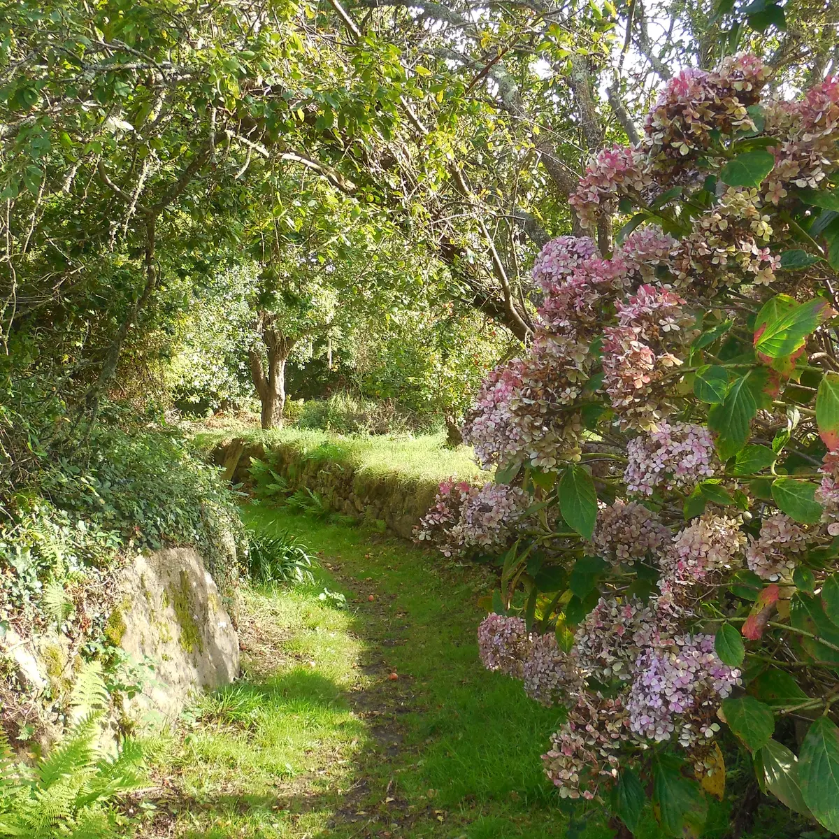 chemin Port Blanc