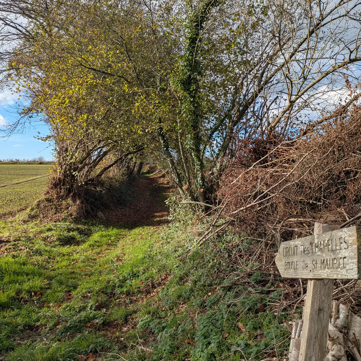 chemin boucle st Maurice Trémel