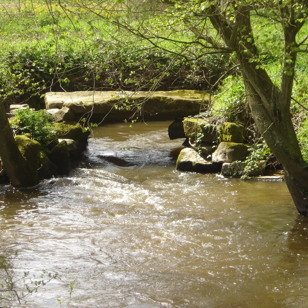 Quemperven pont romain