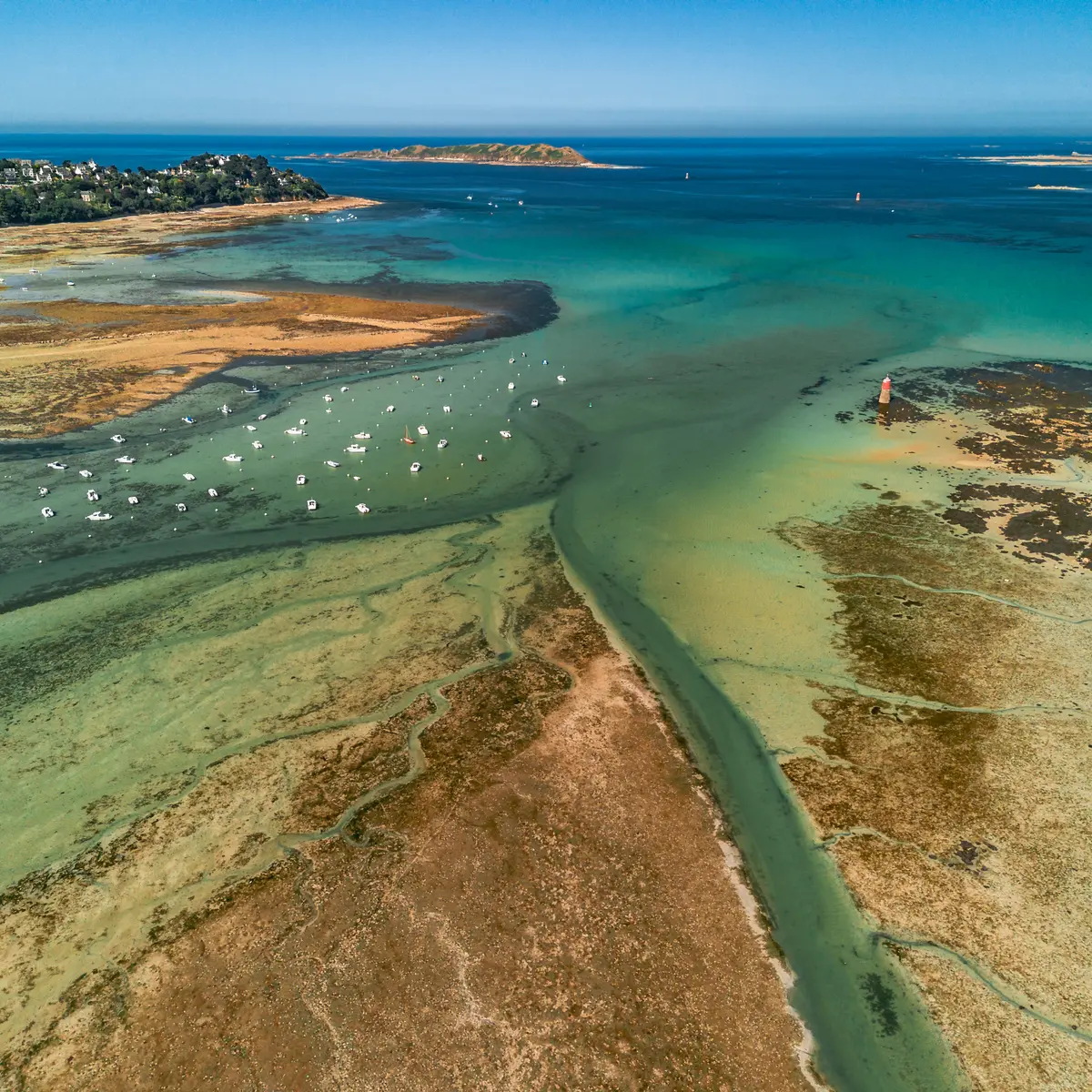 export_drone_chim-27