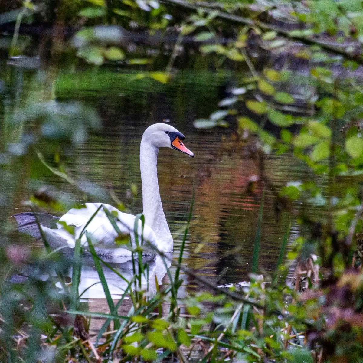 gary-butterfield-y0NU1JCmULU-unsplash