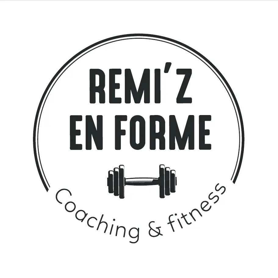 logo remi'z' en forme