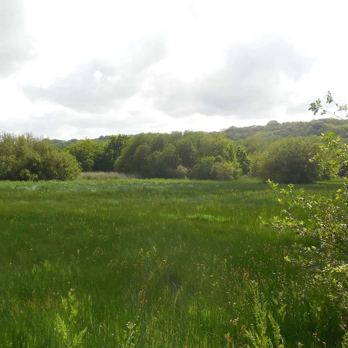 marais Trestel