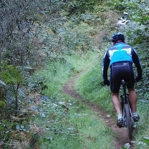 A VTT Pluzunet