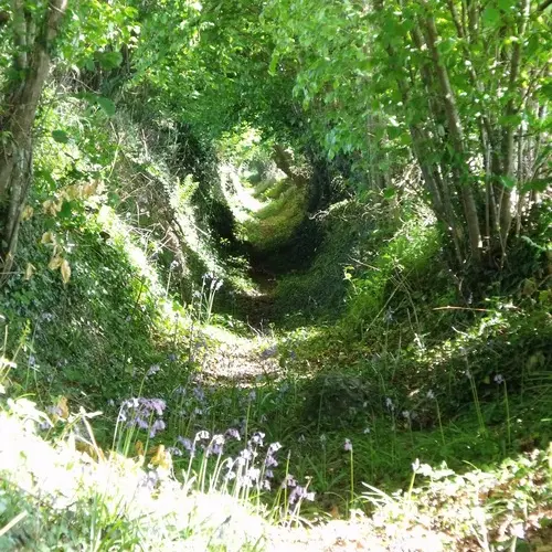 rando Sur les terres du Dresnay Loguivy-Plougras