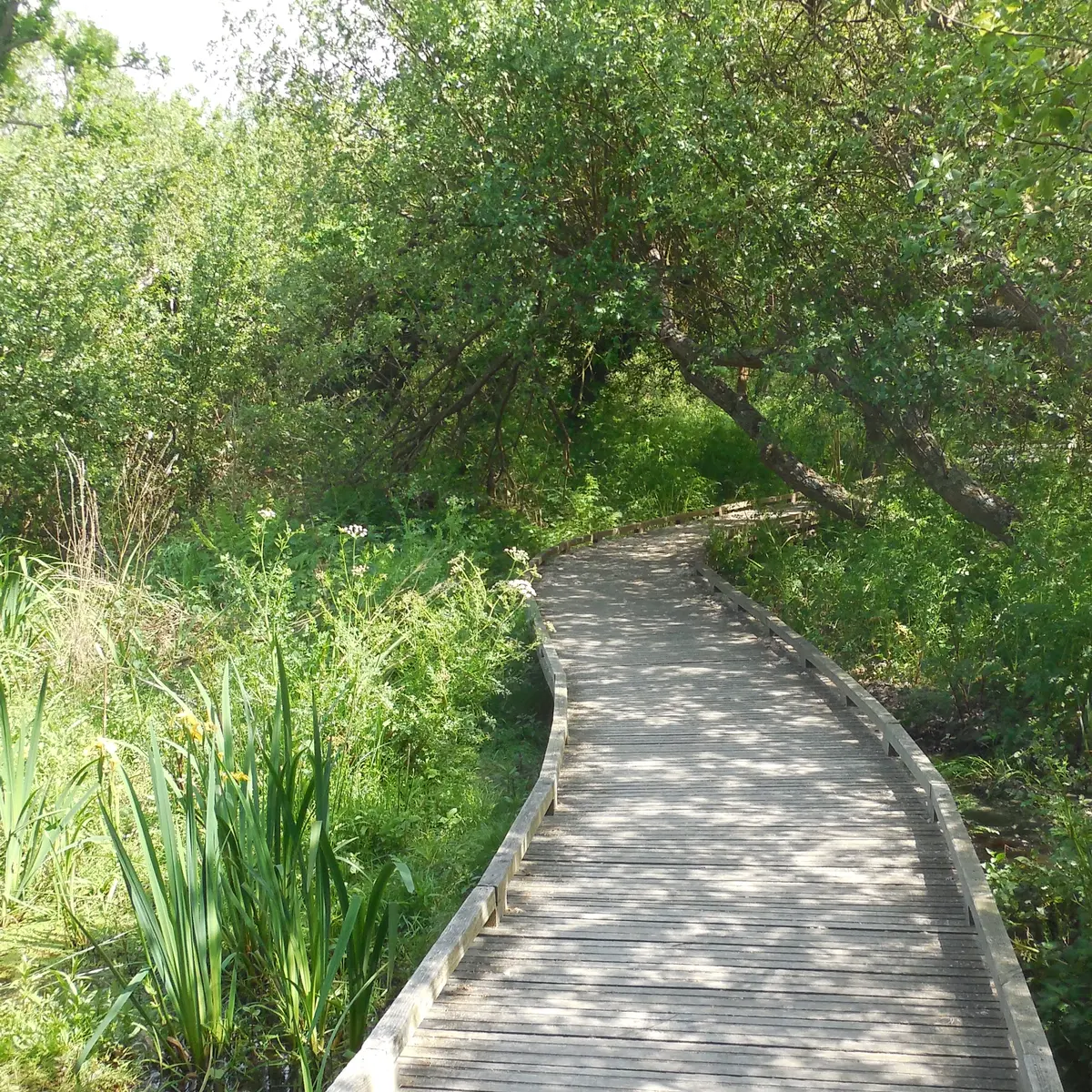sentier PMR marais Trestel