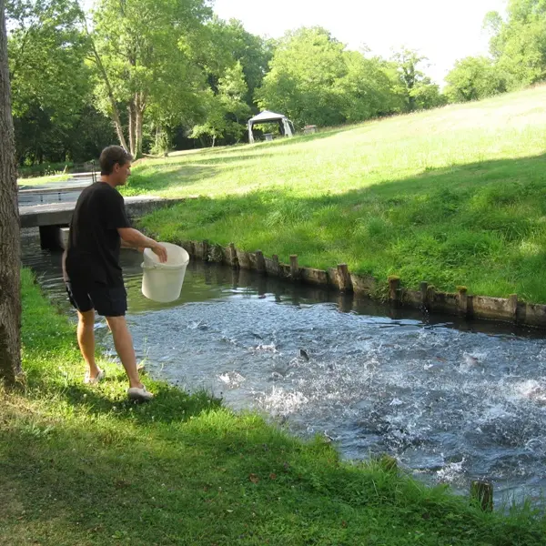 Visite pisciculture moulin de boissonnie Douzillac