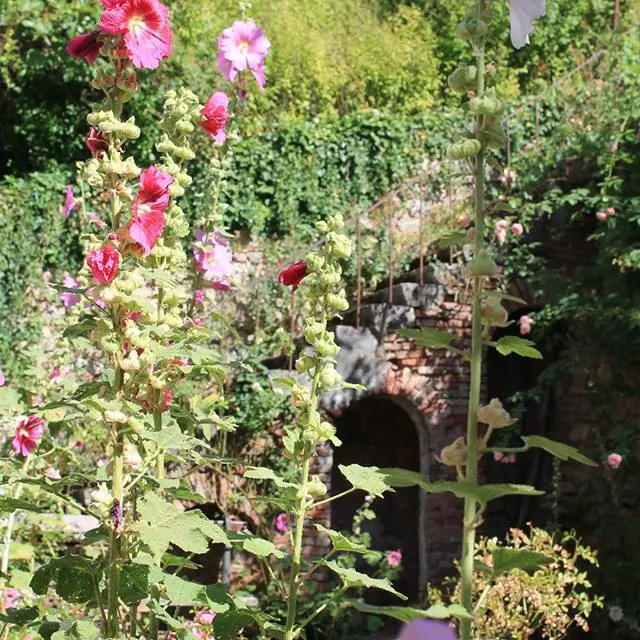 Jardin public
