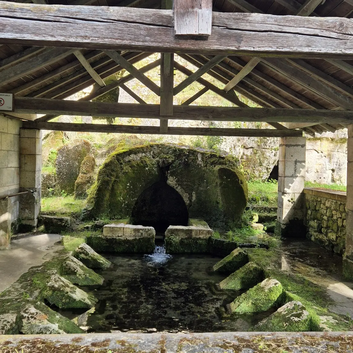 488642101_1497810974882394_6978098062943801894_n