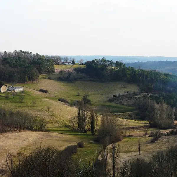 800px-Léguillac-de-l'Auche_site_du_Mas_(4)