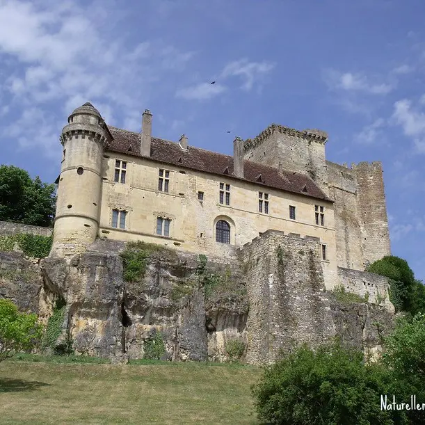 Château-d-excideuil