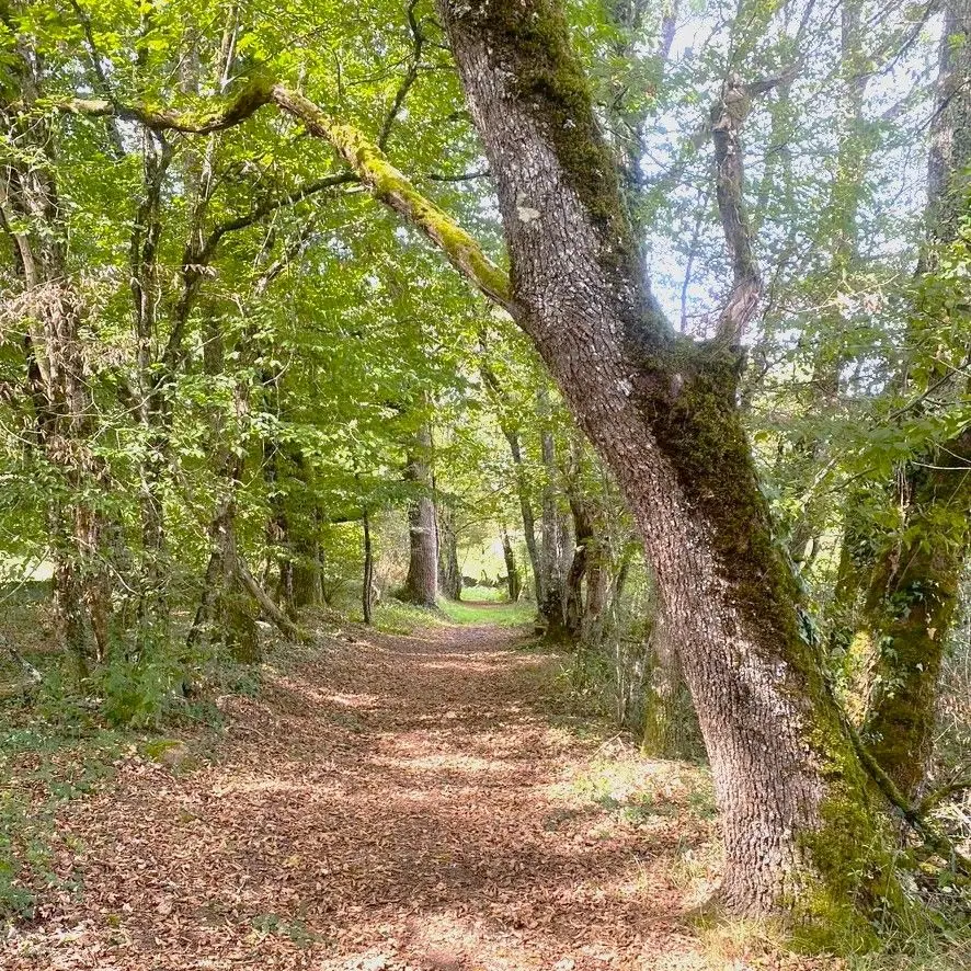 ALLAS-LES-MINES-Boucle de la Roudie-Chemin