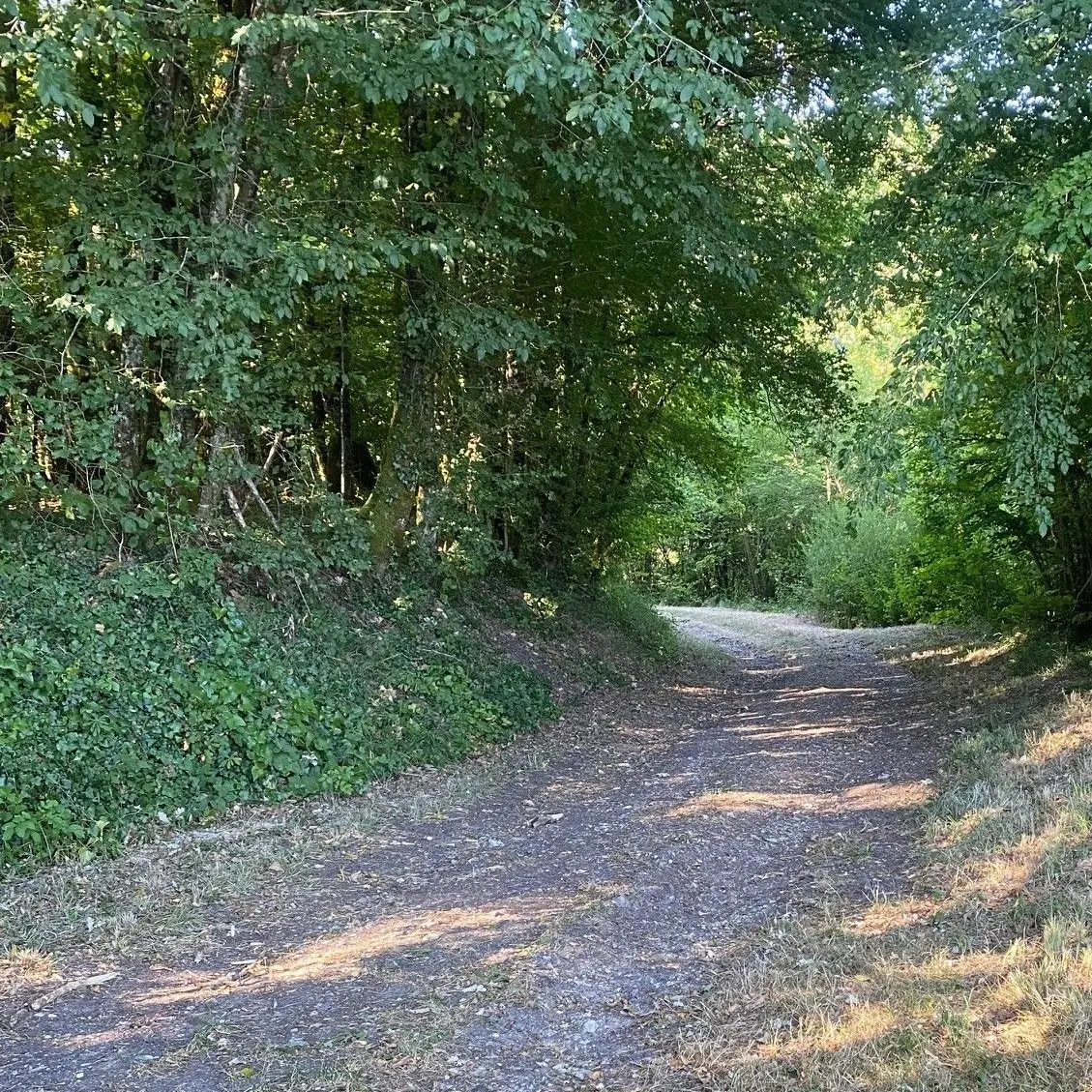 BASSILLAC-Boucles de Fontaines-Chemin