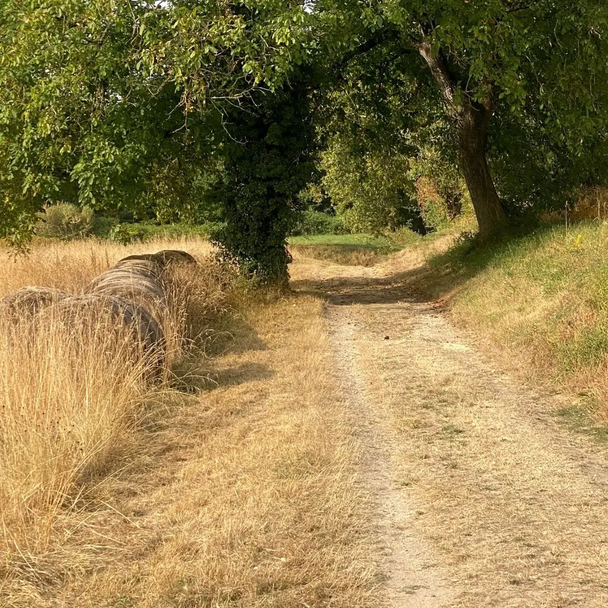 BEAURONNE-Boucle de Maine Moulin-chemin