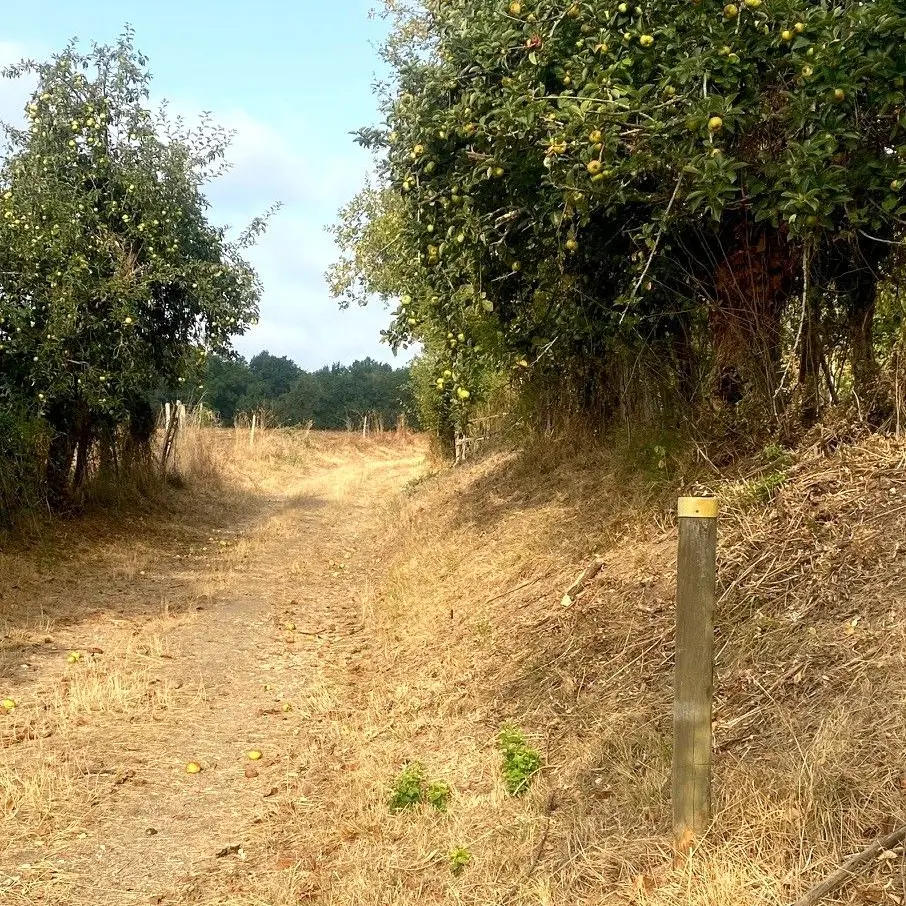 BEAURONNE-Boucle des Fontanelles-chemin-poteau