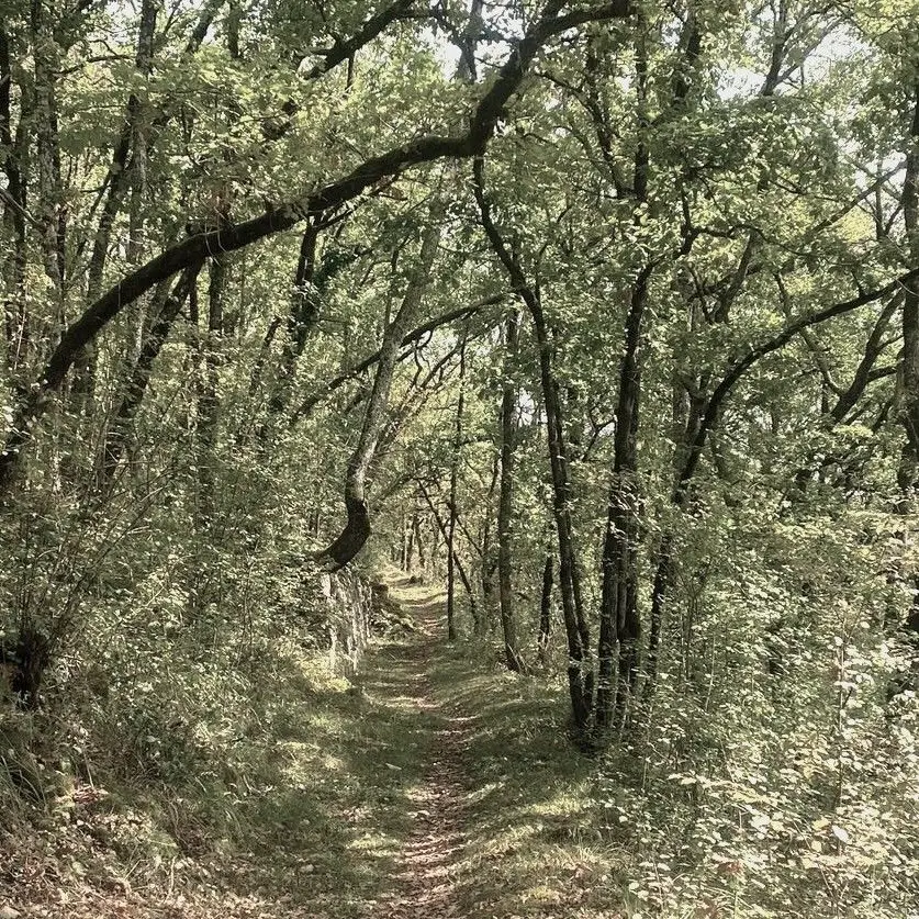 BERBIGUIERES-Boucle de Berbiguières-Chemin
