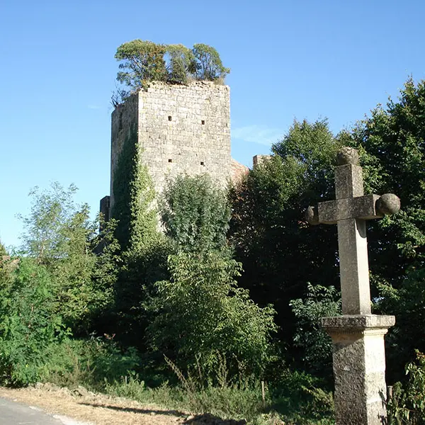 Baneuil (1)