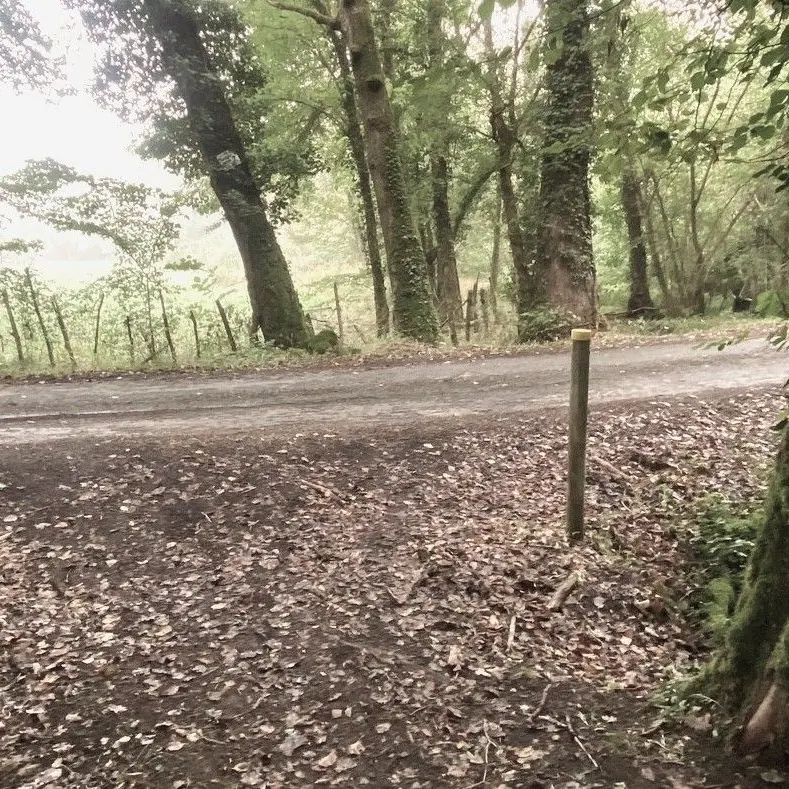 CASTELS-Boucle de Castels-Chemin-Poteau