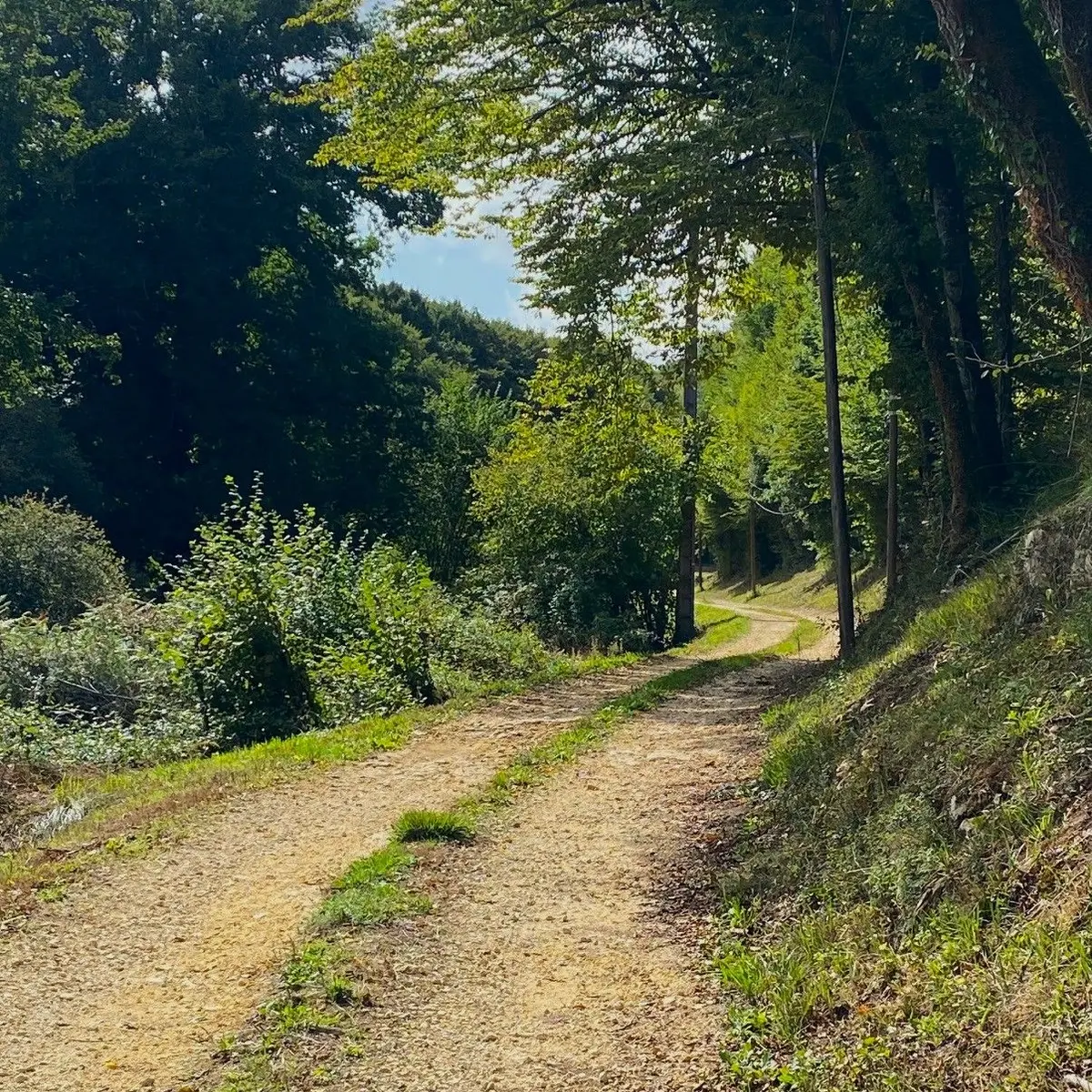 CASTELS-Boucle des Fontaines-Chemin