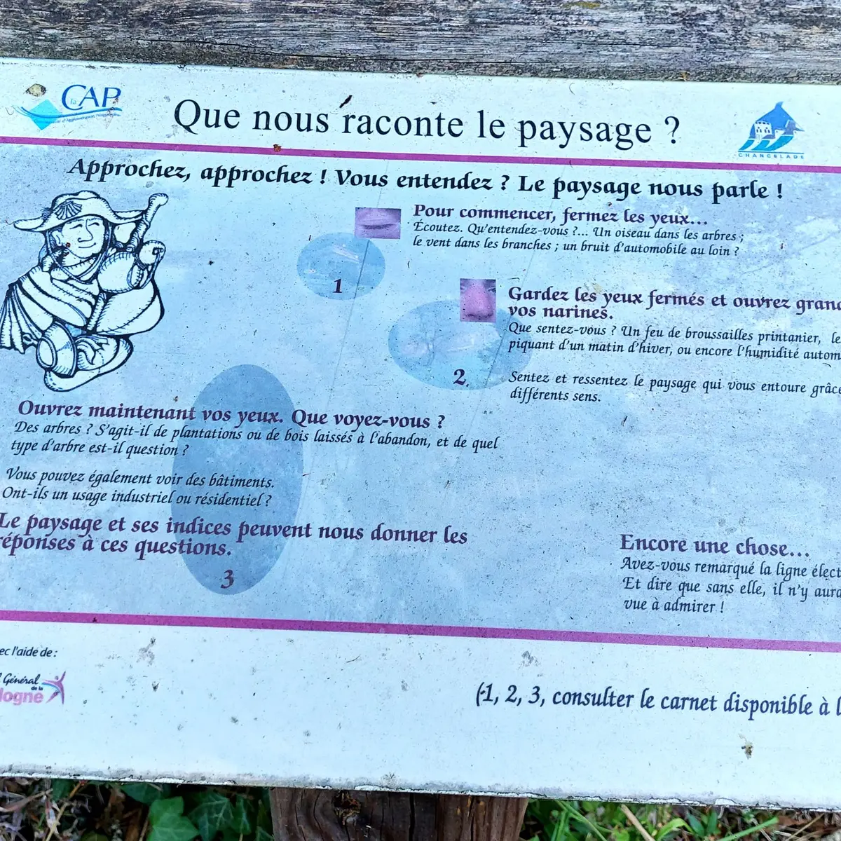 CHANCELADE-Boucle de la Beauronne-Informations paysage