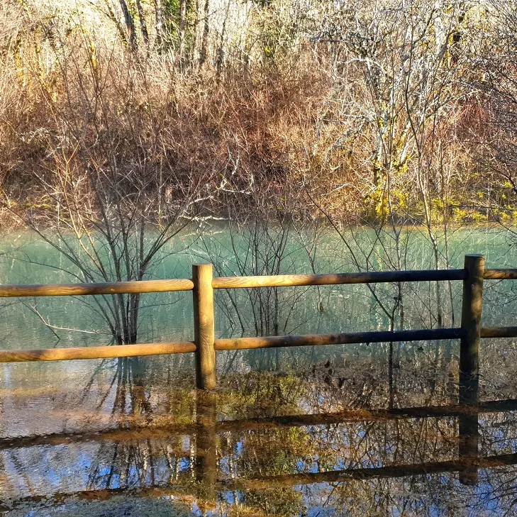 CORGNAC FONTARNAUD DG